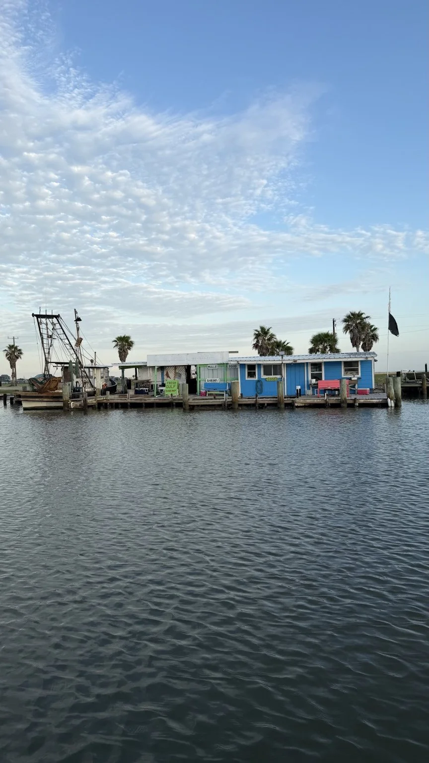 Colorful local bait shop beside the Intracoastal Waterway