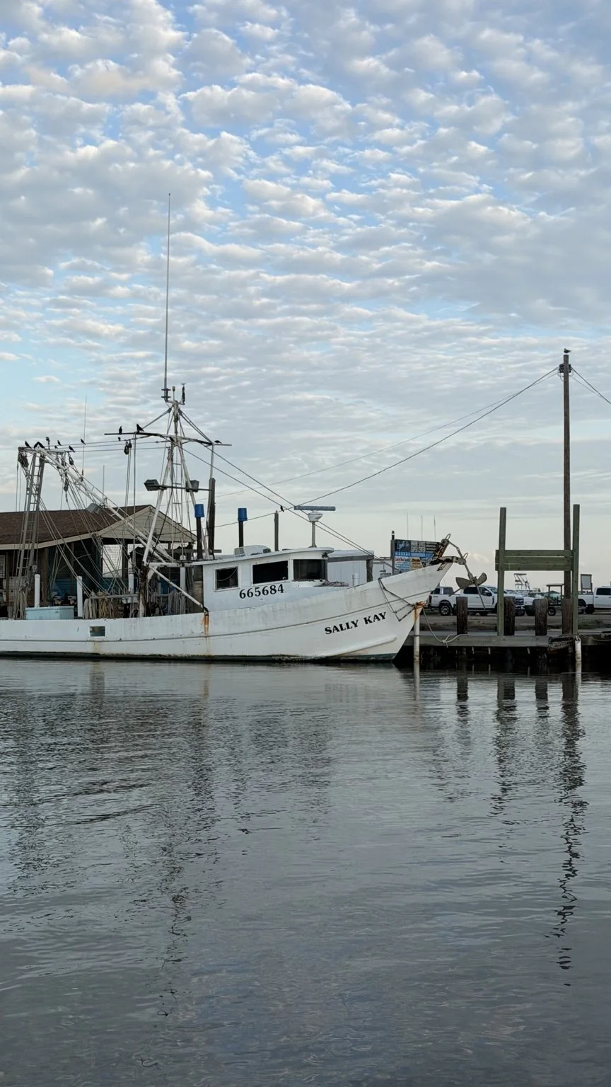 Shrimp boat docked along the Sargent waterfront